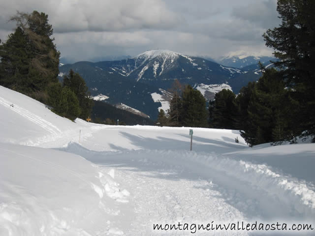 monte muro